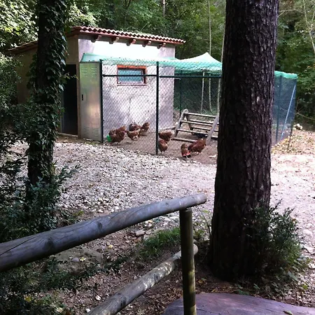 Puigcercos Campingplatz